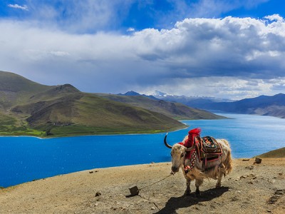 CH 5 Días Lhasa Esencias y Lago Sagrado Yamdrok