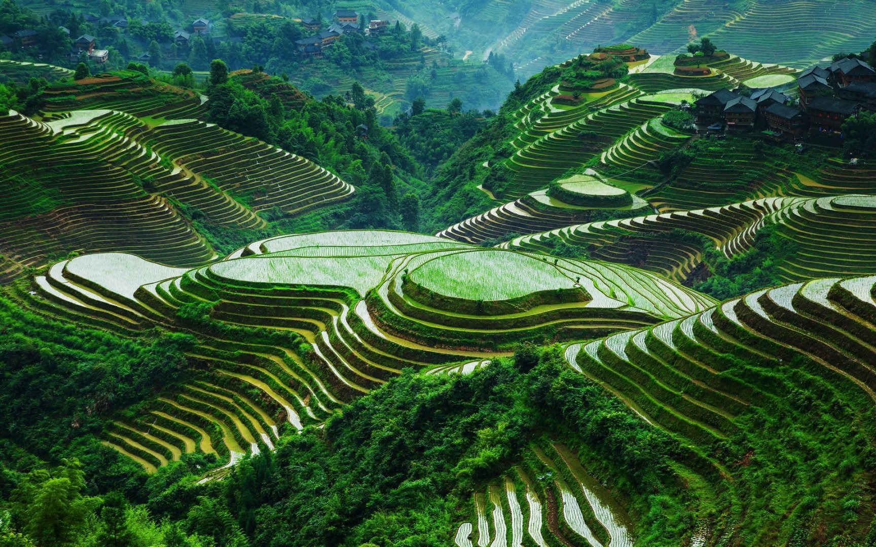 CH 4 Días de Guilin Esencias & Terrazas de Arroz