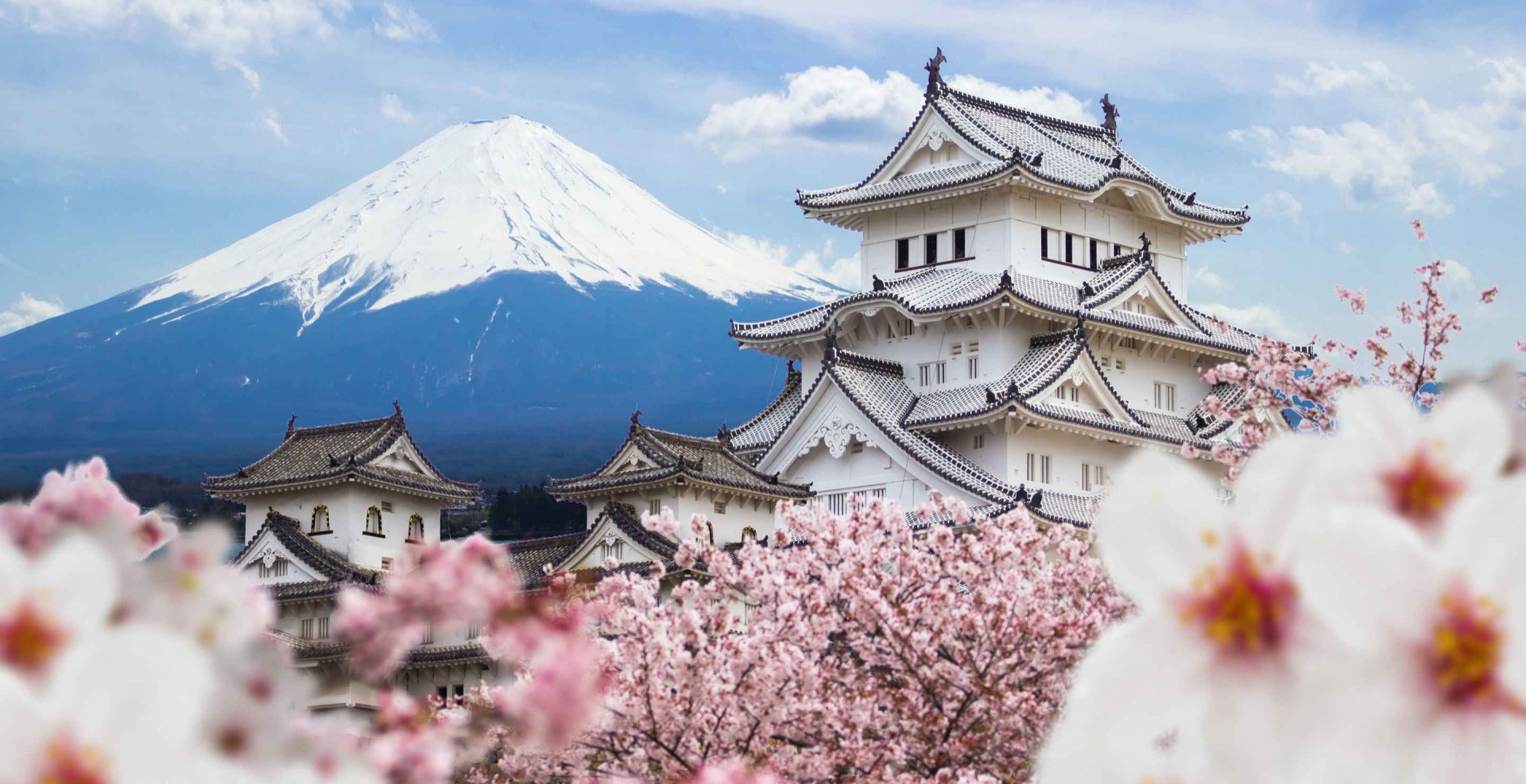 CH 15 Días Esencias de China y Japón 